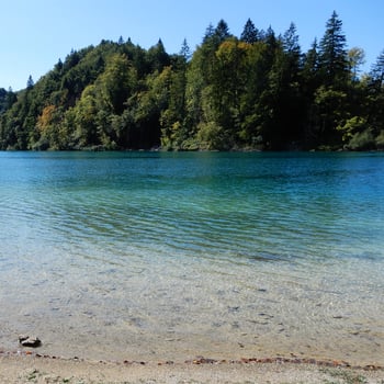 Clear shoreline