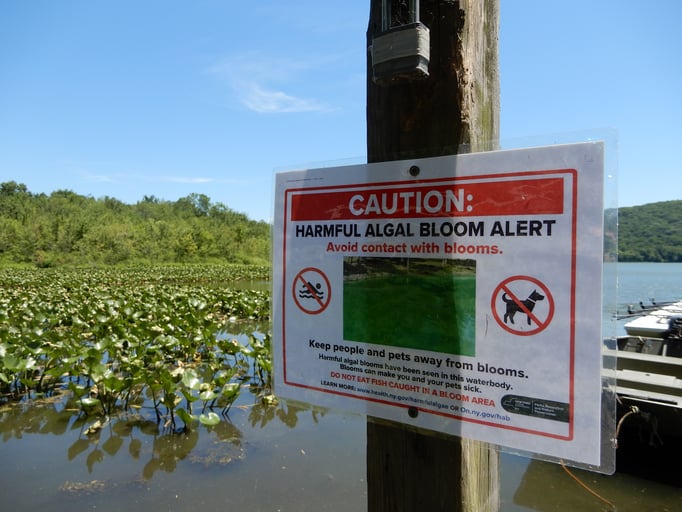 HABs warning sign